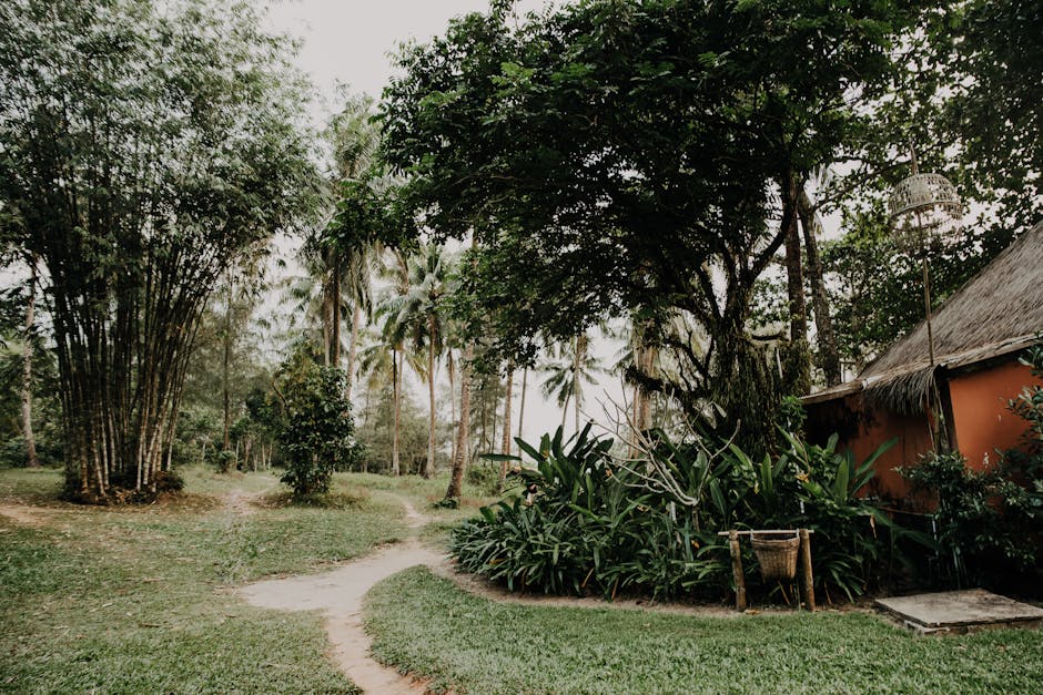 Bali Jungle Villas With Palm Roofs and River Floors