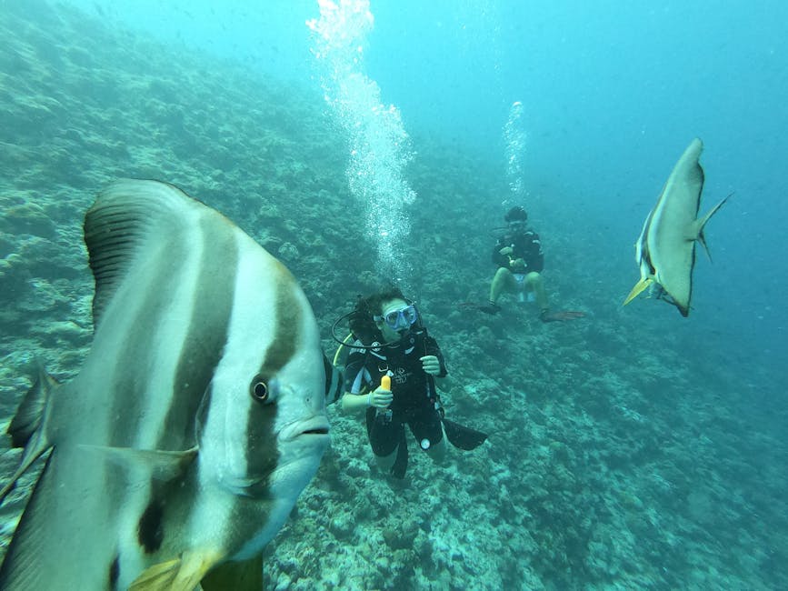 Maldives Coral Suites With Underwater Breakfast Lounges