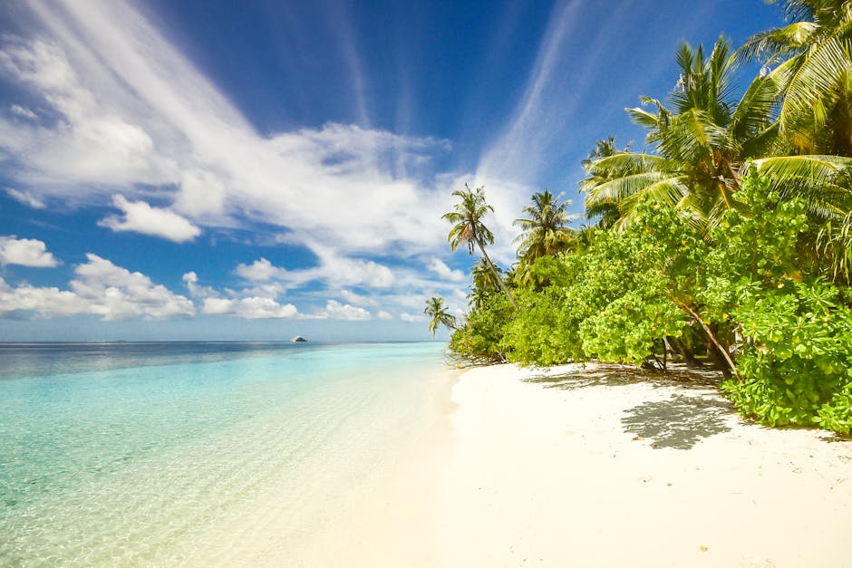 Maldives Floating Palaces With Coral Terraces