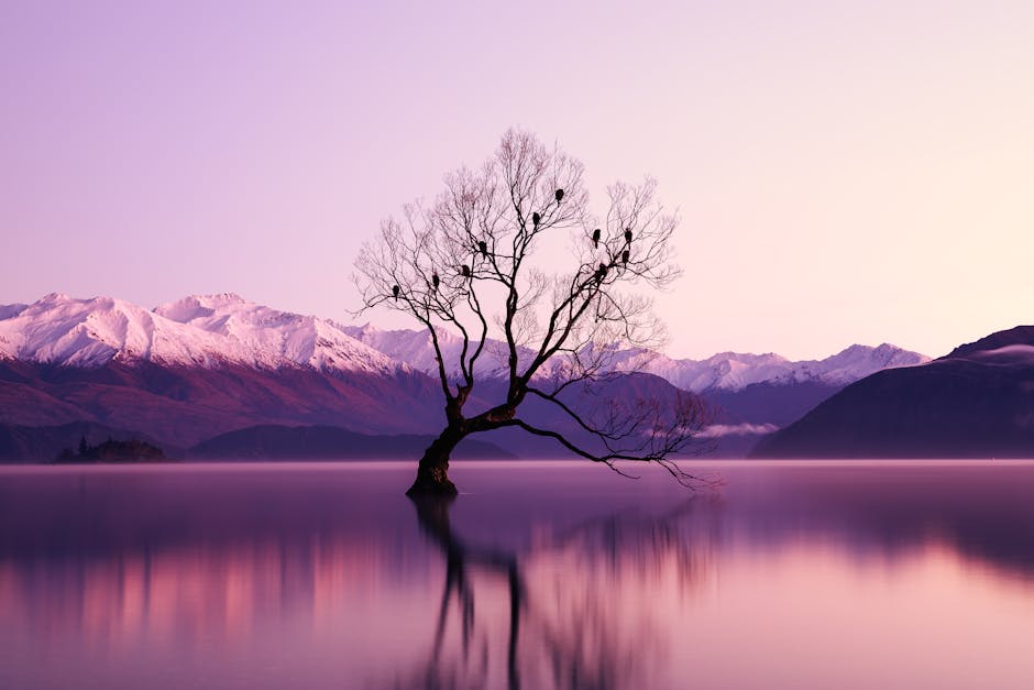 New Zealand Mountain Lodges With Alpine Hot Springs