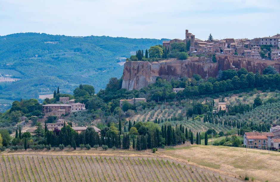 Tuscany Olive Villas With Wine Fireplaces and Stone Floors