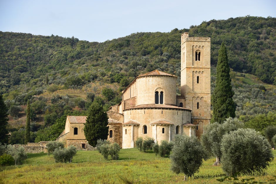 Tuscany Olive Villas With Wine Paths and Stone Ceilings
