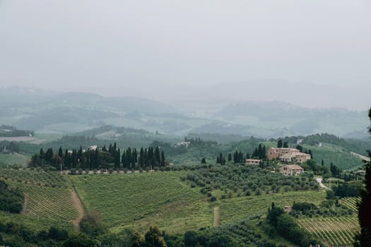 Tuscany Villas With Vine Floors and Olive Beds