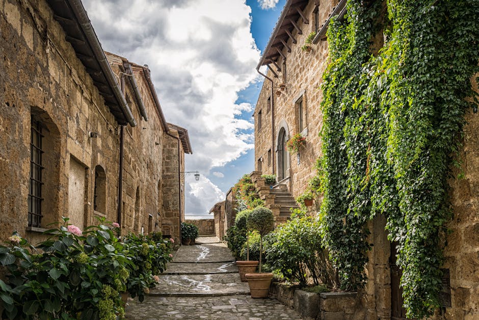 Tuscany Wine Villas With Private Stone Terraces and Olive Paths