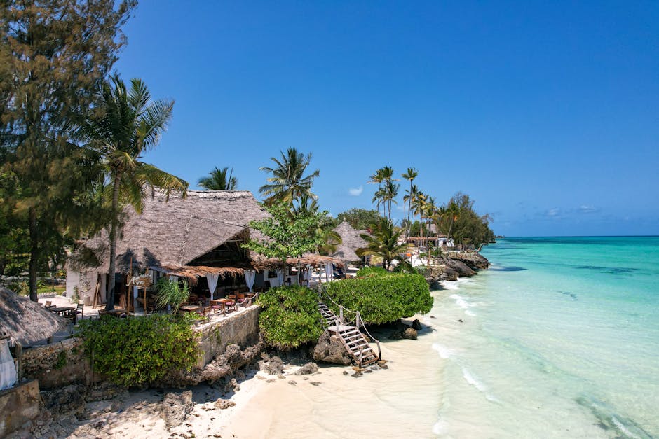 Zanzibar Beach Resorts With Palm Roofs and Ocean Sofas